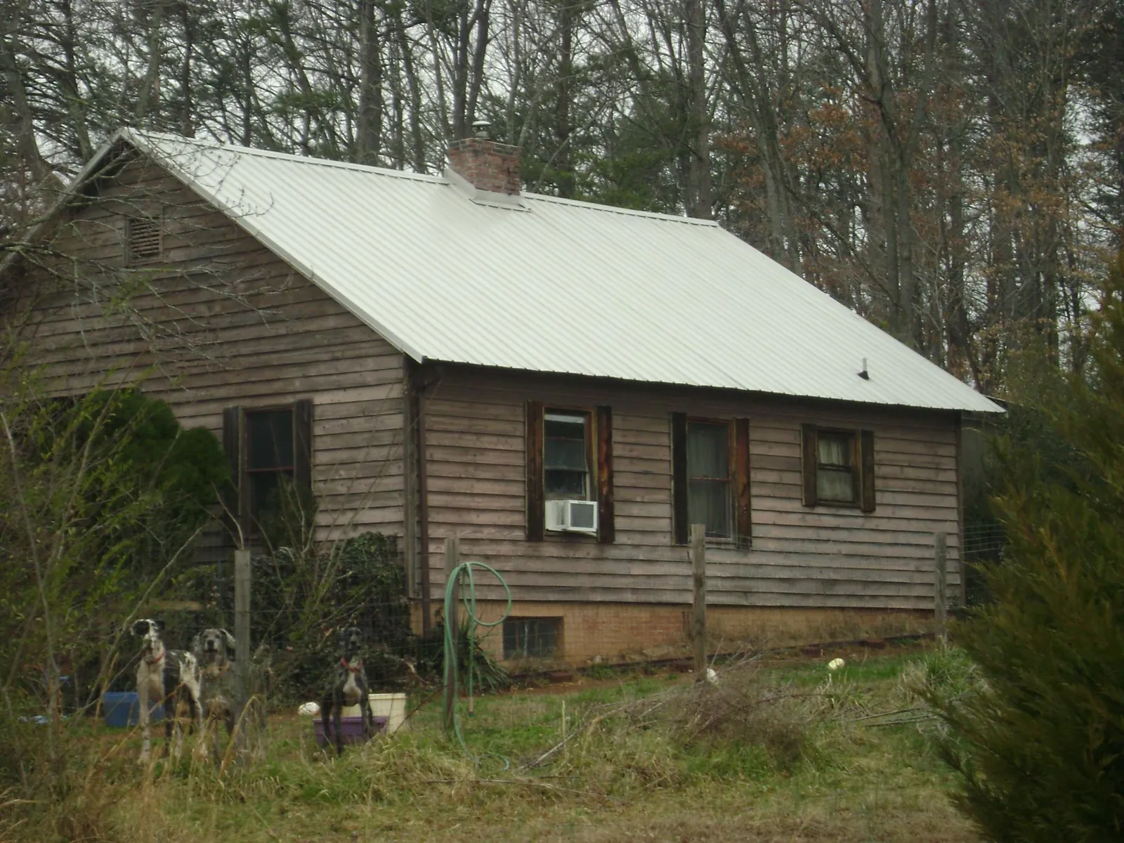 White metal roof on an old wood sided farmhouse, from a Asphalt Shingle Roof Repair job in Gerlaw